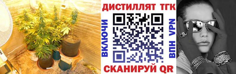 даркнет состав  где можно купить   Елизово  Дистиллят ТГК гашишное масло 