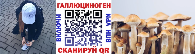 Псилоцибиновые грибы MAGIC MUSHROOMS  наркота  Елизово 